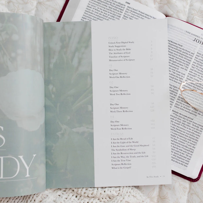 I Am | Bible Study on Jesus's I Am Statements