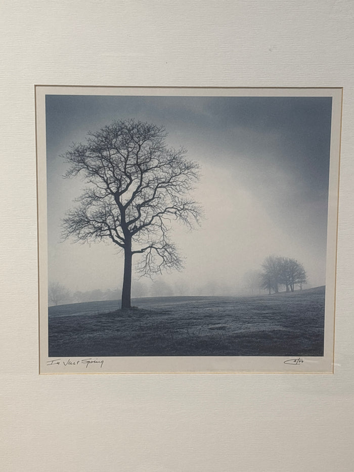 In Just Spring Print by Richard Calvo; Signed