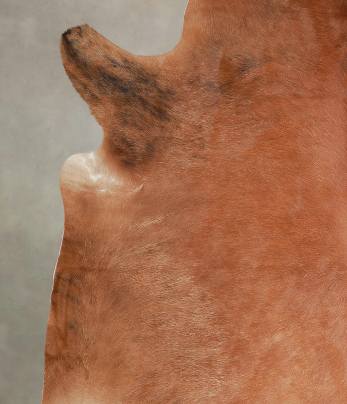 Medium Brindle Cowhide Rug #A25655