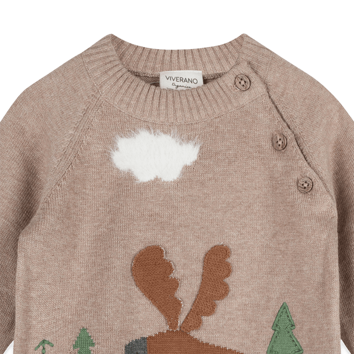 Organic Cotton Moose Woods Knit Baby Pullover, Button Detail