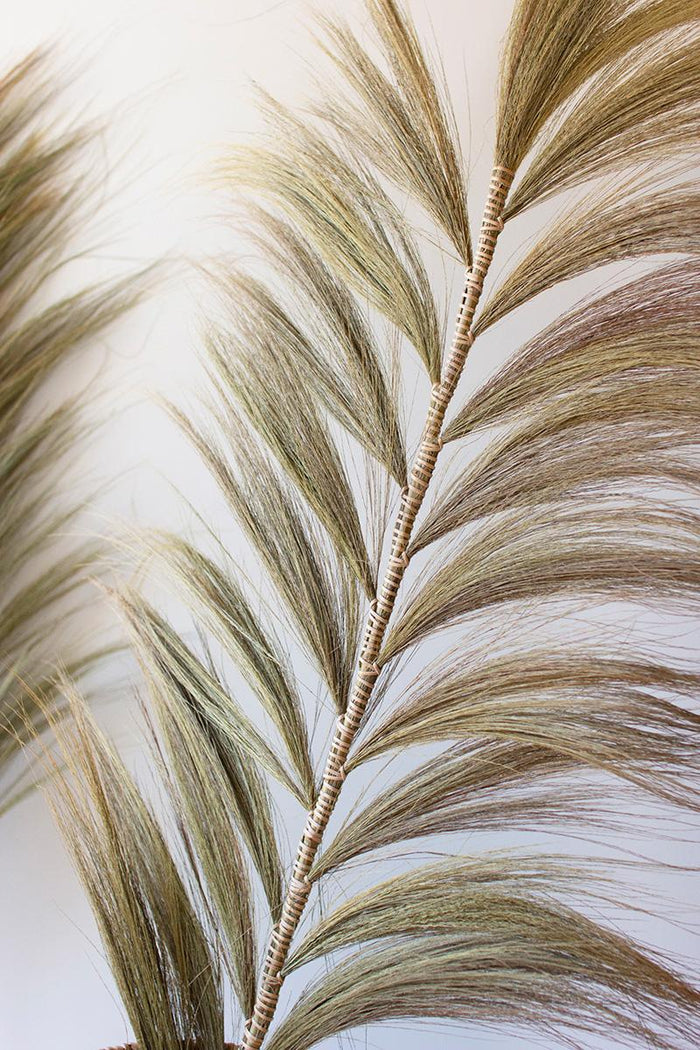 Palm Fan on Bamboo Stems