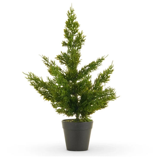Potted Cedar Tree