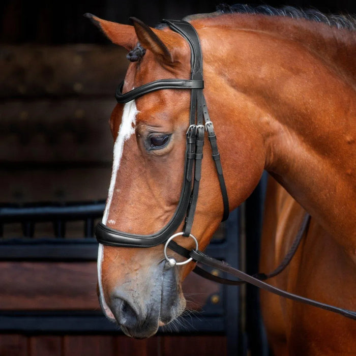 RAPIDA Ergononic Cavesson Bridle - Black - Cob