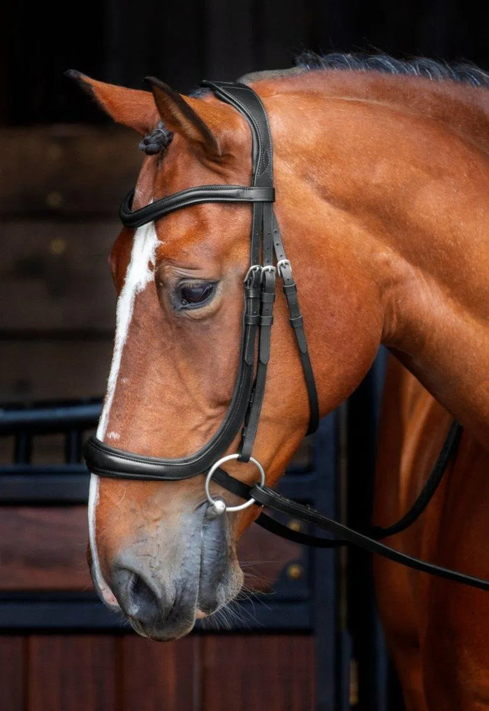 RAPIDA Ergononic Cavesson Bridle - Black - Cob