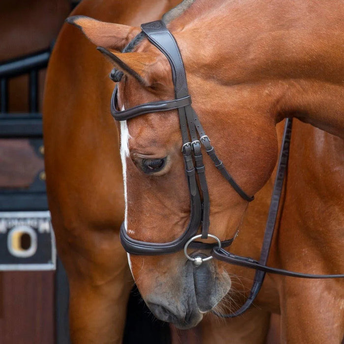 RAPIDA Ergononic Cavesson Bridle - Black - Cob