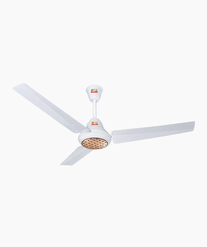 Ravi Plus Inverter