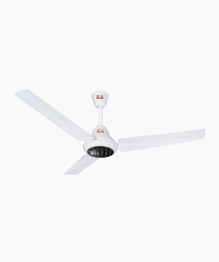 Ravi Plus Inverter