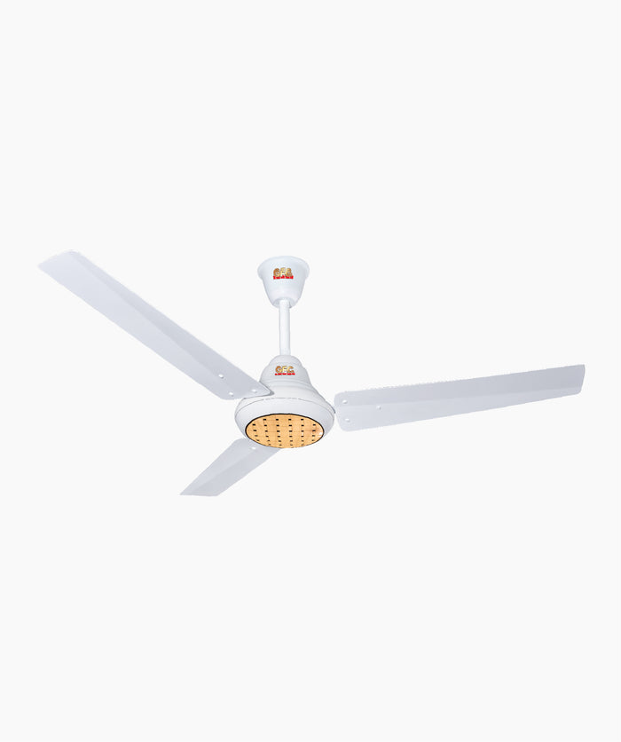 Ravi Plus Inverter