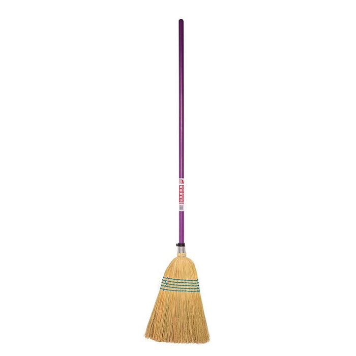 Purple / Standard