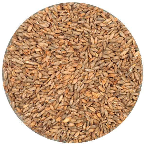 Close up of a pile of malt rye.