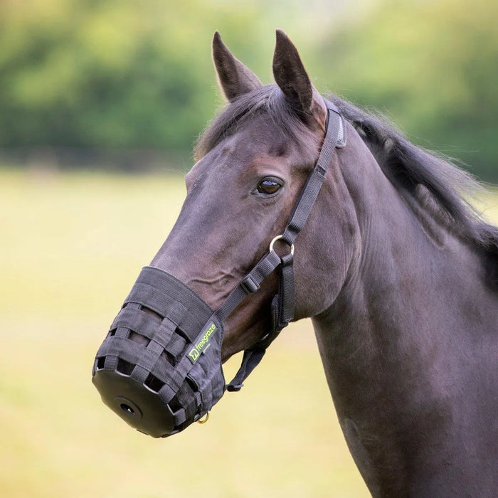 Shires Comfort Grazing Muzzle - Black - Cob