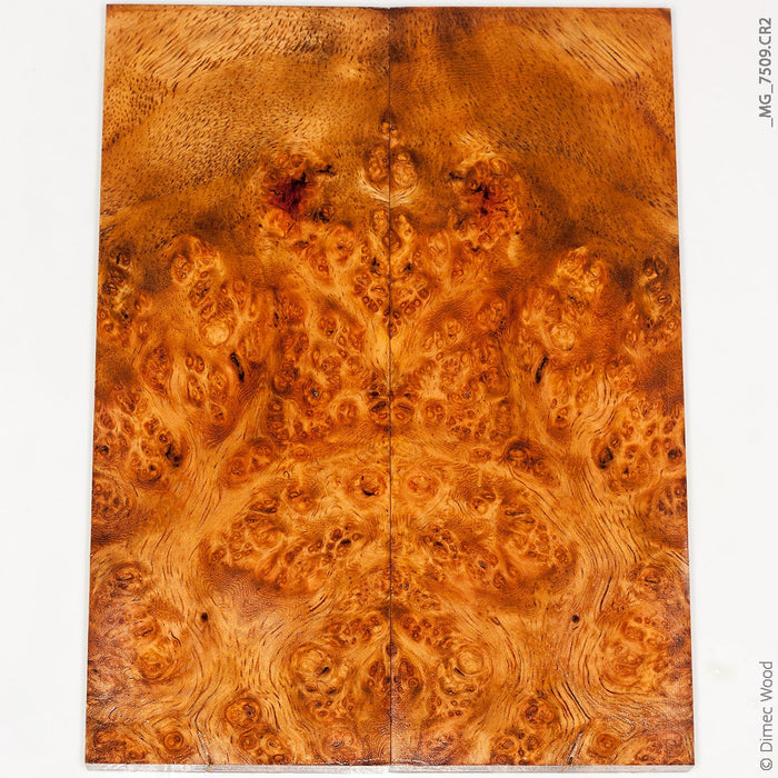 Stabilized golden amboyna burl wood panels