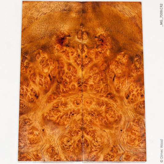 Stabilized golden amboyna burl wood panels