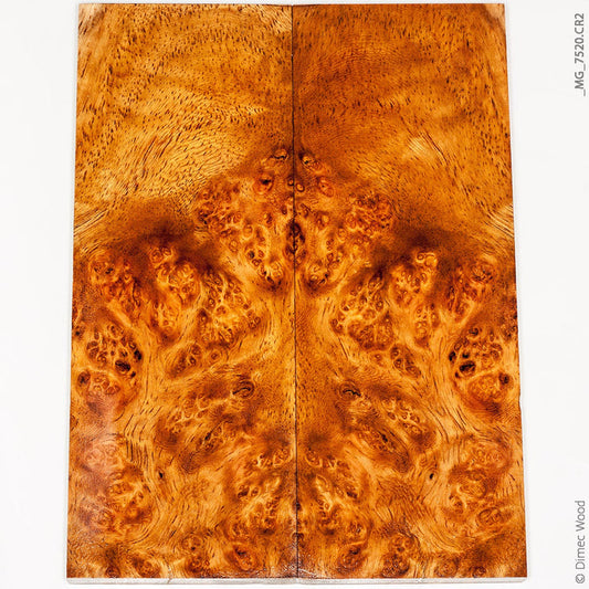 Stabilized golden amboyna burl wood panels