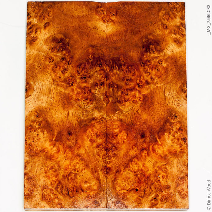 Stabilized golden amboyna burl wood panels