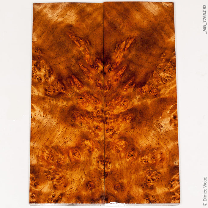 Stabilized golden amboyna burl wood panels