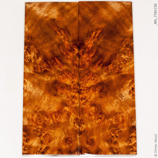 Stabilized golden amboyna burl wood panels