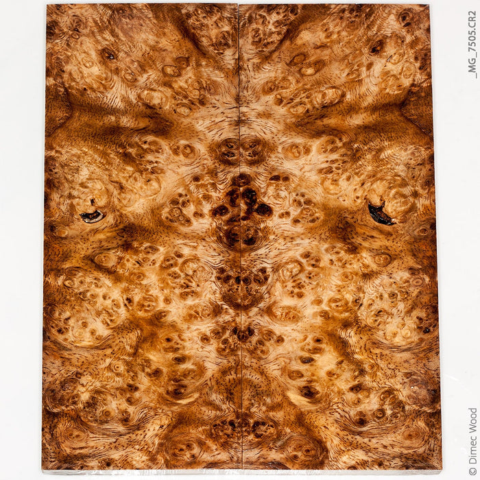 Stabilized spalted amboyna burl wood panels