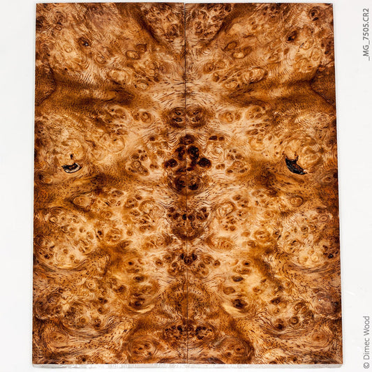 Stabilized spalted amboyna burl wood panels