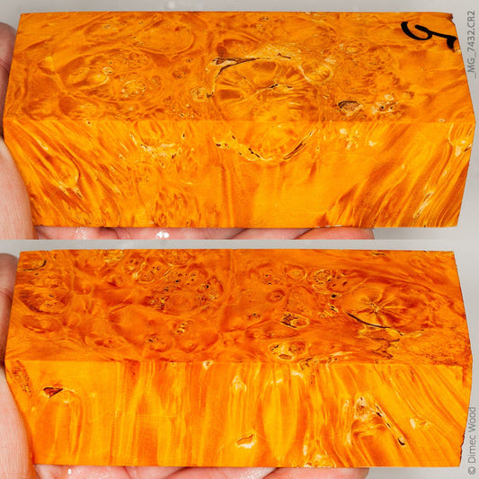 Stabilized wood box elder burl block