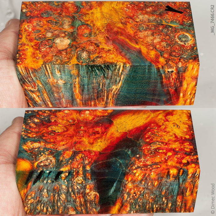 Stabilized wood box elder burl block