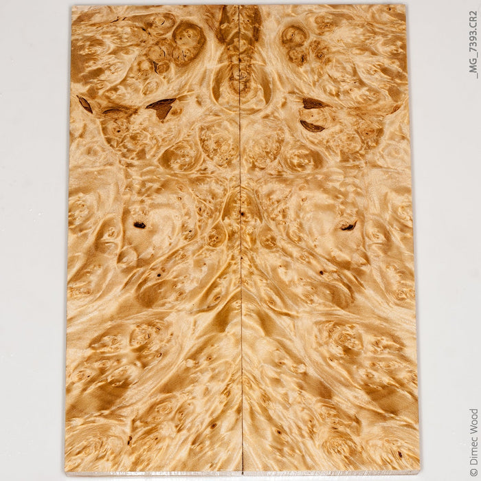 Stabilized wood box elder burl panels