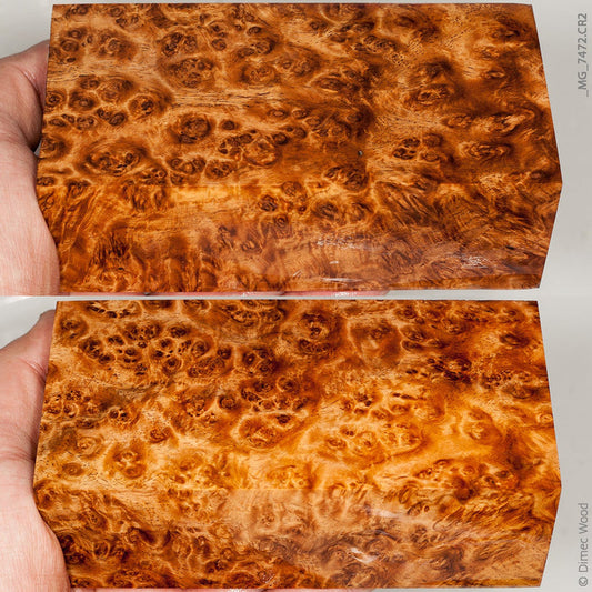 Stabilized wood golden amboyna burl block