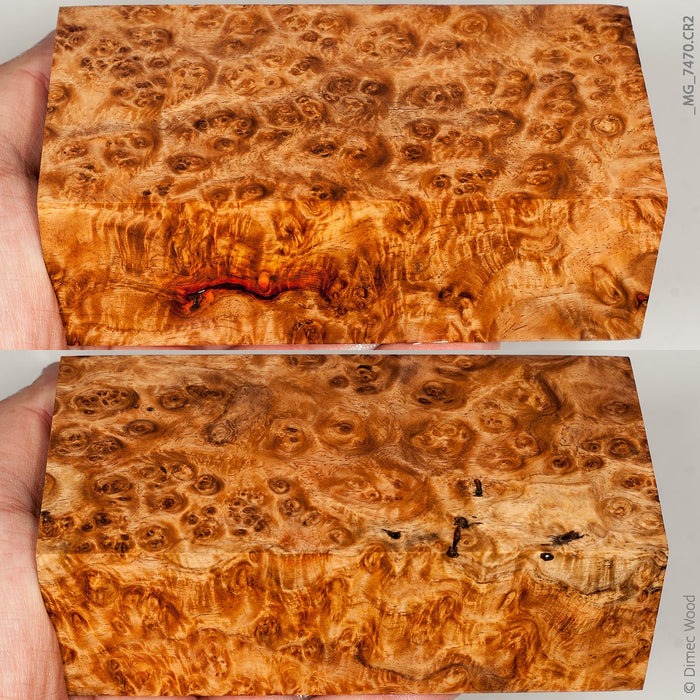 Stabilized wood golden amboyna burl block