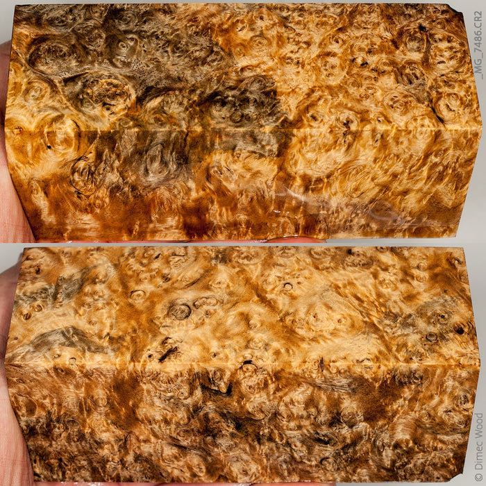 Stabilized wood spalted amboyna burl block