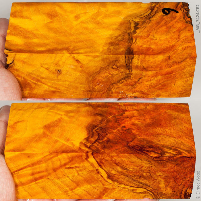 Stabilized wood white ash burl block