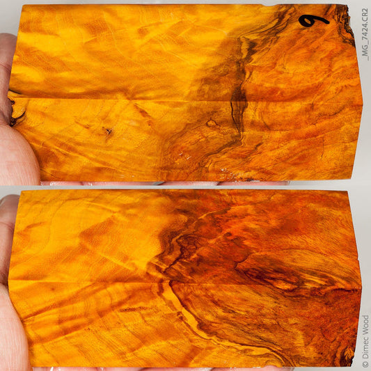 Stabilized wood white ash burl block