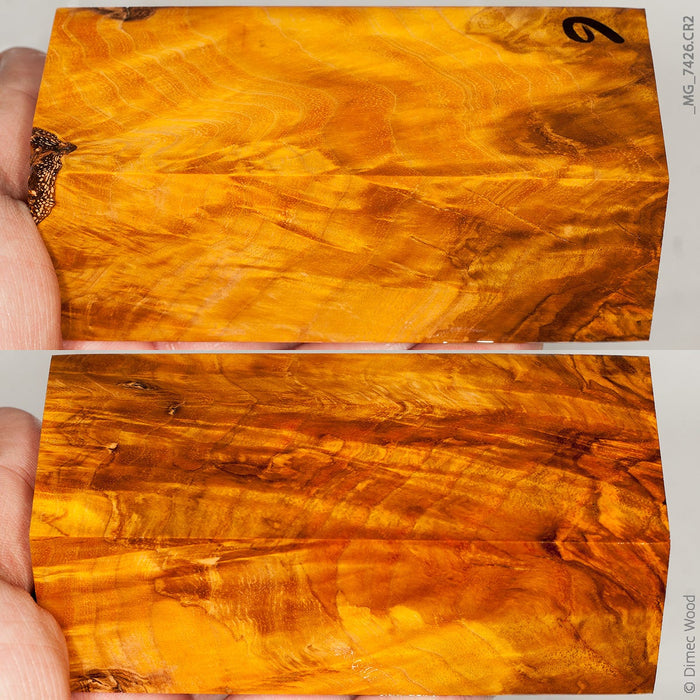 Stabilized wood white ash burl block