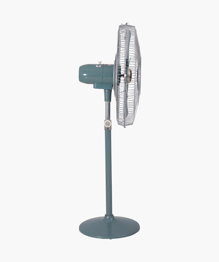 Standard Pedestal Fan