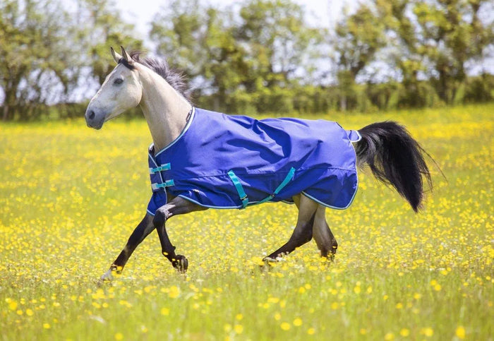 Tempest Original 100 Turnout Rug - Navy - 4'0"