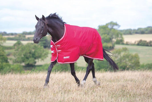 Tempest Original Air Motion Turnout Rug - Navy - 4'0"