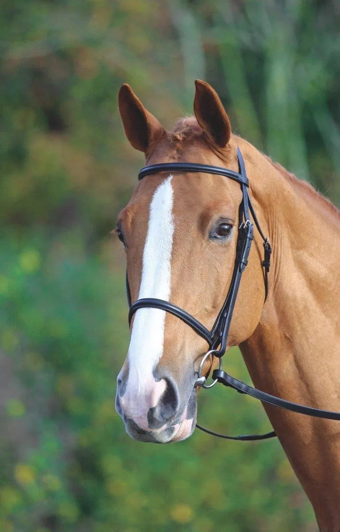 Velociti GARA Raised Cavesson Bridle - Black - Cob