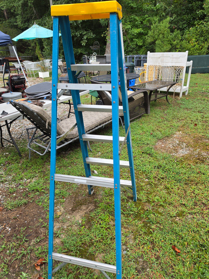 Werner 6' Fiberglass Ladder