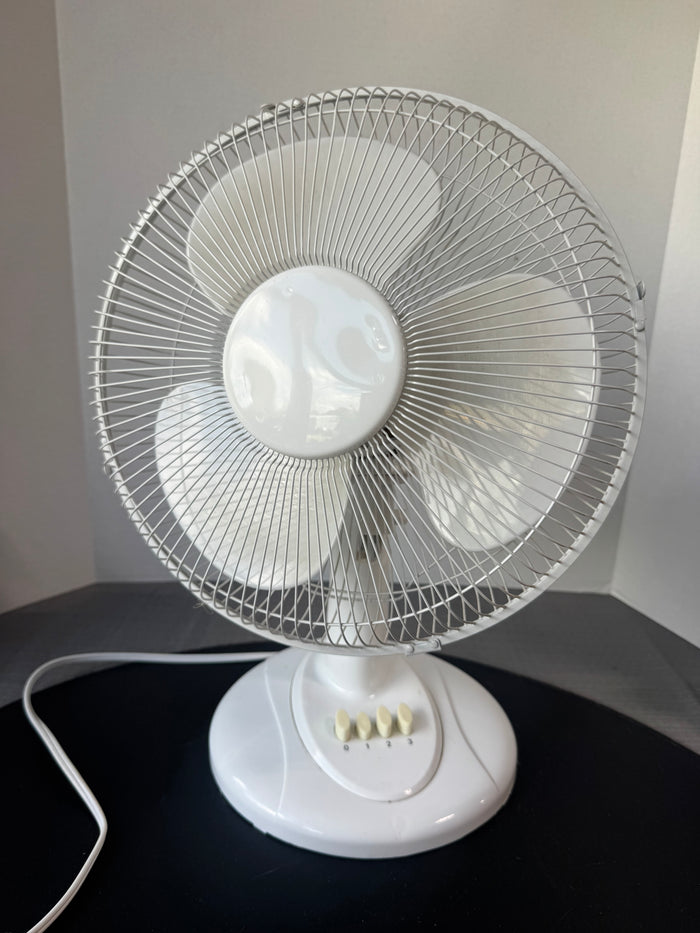 White 3-Speed Oscillating Desk Fan (WORKS)